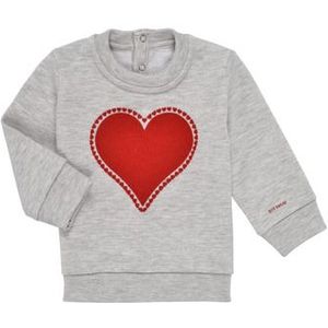 Petit Bateau  GRADDE  Truien  kind Grijs