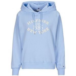 Tommy Hilfiger  MDRN REG SCRIPT SWEATSHIRT  Truien  dames Blauw
