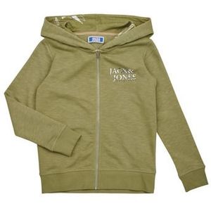 Jack &amp; Jones  JORCRAYON SWEAT ZIP HOOD  Truien  kind Groen