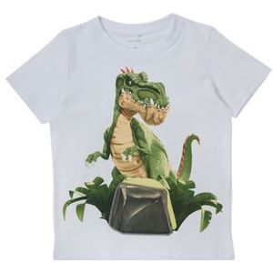 Name it  NMMGIGANTOSAURUS  Shirts  kind Wit