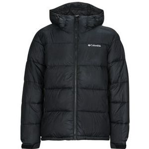 Columbia - PIKE LAKE HOODED JACKET - Donsjas - Zwart