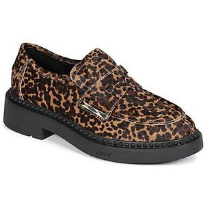 Ash  MEDUSA  Mocassins  dames Bruin