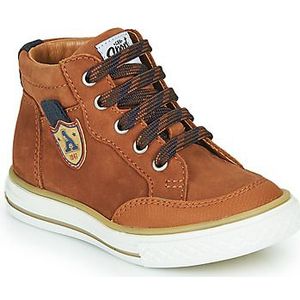 GBB  NATHAN  Sneakers  kind Bruin