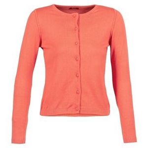 BOTD  EVANITOA  Vesten  dames Oranje