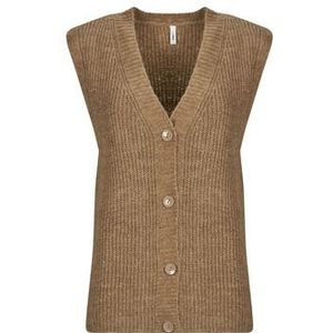 Only  ONLJANE SL  Vesten  dames Bruin