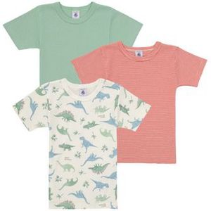 Petit Bateau - A0dbt - T-shirts - Set van 3 - Katoen - Korte Mouwen - Dinosaurus - 12 Jaar