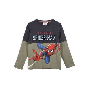 TEAM HEROES  T SHIRT SPIDERMAN  Shirts  kind Grijs