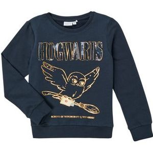 Name it  NKFHARRYPOTTER AXINE SWEAT  Truien  kind Blauw