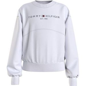 Tommy Hilfiger  THUBOR  Truien  kind Wit