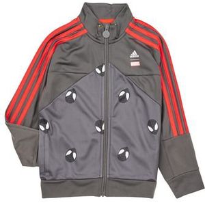 adidas  LB DY SM TT  Truien  kind Grijs