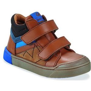 GBB  TANGUY  Sneakers  kind Bruin