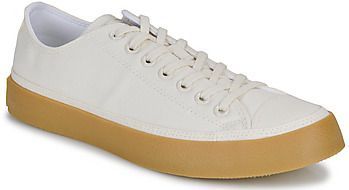 CONVERSE - CTAS - Sneakers - Wit