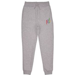 Polo Ralph Lauren  PO PANT-PANTS-ATHLETIC  broeken  kind Grijs