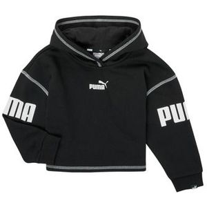 Puma - PUMA POWER HOODIE - Sweater - Zwart