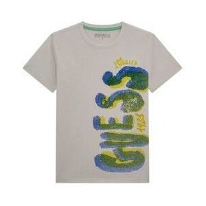 Guess  T SHIRT  Shirts  kind Grijs