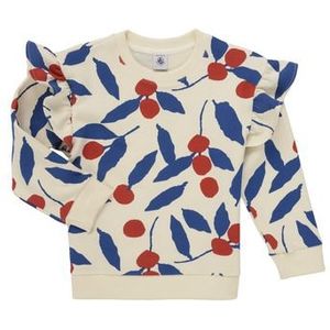 Petit Bateau  CORINE  Truien  kind Multicolour