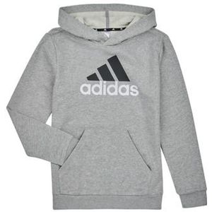 adidas  BL 2 HOODIE  Truien  kind Grijs