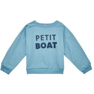Petit Bateau  LOGO  Truien  kind Blauw