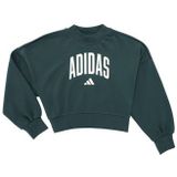 Aurora Ivy - Sweater - Wit - Katoen/POLYESTER - Sportief