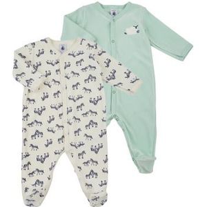 Petit Bateau - Set van 2 Babypyama's - Grijs en Groen - Katoen