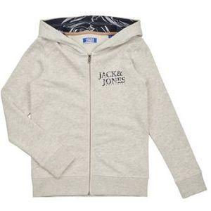Jack &amp; Jones  JORCRAYON SWEAT ZIP HOOD  Truien  kind Beige