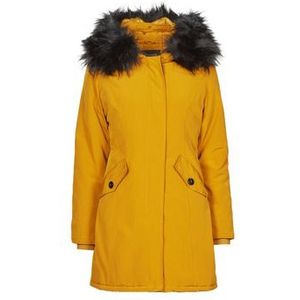 Betty London  PAPAKA  jassen  dames Geel