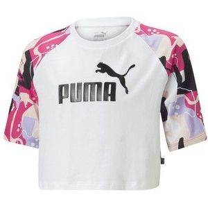 Puma  G ESS+ ART RAGLAN TEE  Shirts  kind Wit