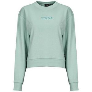 Vans  W ESSENTIAL FT RLX CREW  Truien  dames Groen