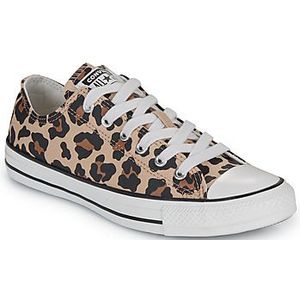 Converse  CHUCK TAYLOR ALL STAR  Sneakers  kind Bruin