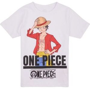 Name it  NKMNATE ONEPIECE SS TOP BOX  VDE  Shirts  kind Wit