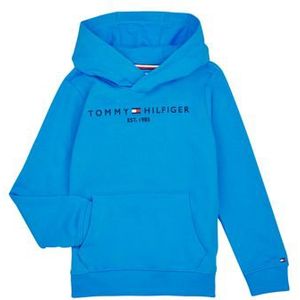 Tommy Hilfiger  ESTABLISHED LOGO  Truien  kind Blauw