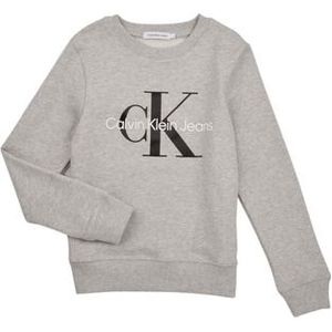Calvin Klein Jeans  MONOGRAM LOGO  Truien  kind Grijs