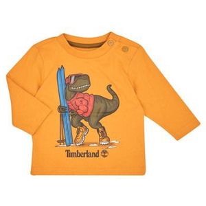 Timberland  TEE-SHIRT MANCHES LONGUES T60253  Shirts  kind Geel