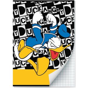Donald Duck Schriften ruitjes - A4 - Set van 2 stuks