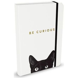 Peter Pauper Notitieboek Curious Cat - A6 (compact)