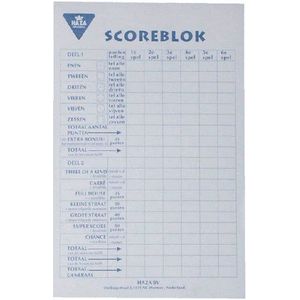 Scoreblok Yahtzee 94x145mm 250 vel | 5 stuks