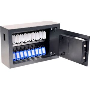 Pavo - High Security Sleutelkast - 20 Haken - 200x310x100mm