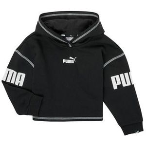 Puma  PUMA POWER HOODIE  Sweater kind