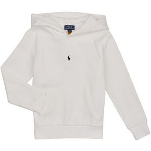 Polo Ralph Lauren  LS HOODIE M2-KNIT SHIRTS-SWEATSHIRT  Sweater kind