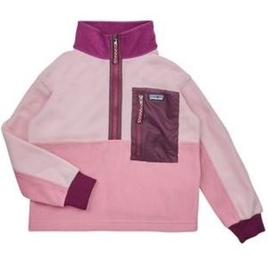 Patagonia  KIDS MICRODINI 1/2 ZIP PULLOVER  Fleece Jack kind