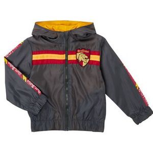 TEAM HEROES  BLOUSON HARRY POTTER  Windjack kind