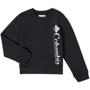 Columbia  COLUMBIA PARK FRENCH TERRY CREW  Sweater kind