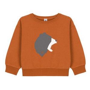 Petit Bateau  CARTABLE  Sweater kind