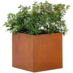 Cortenstaal Plantenbak 50x50x50cm - Bloembak