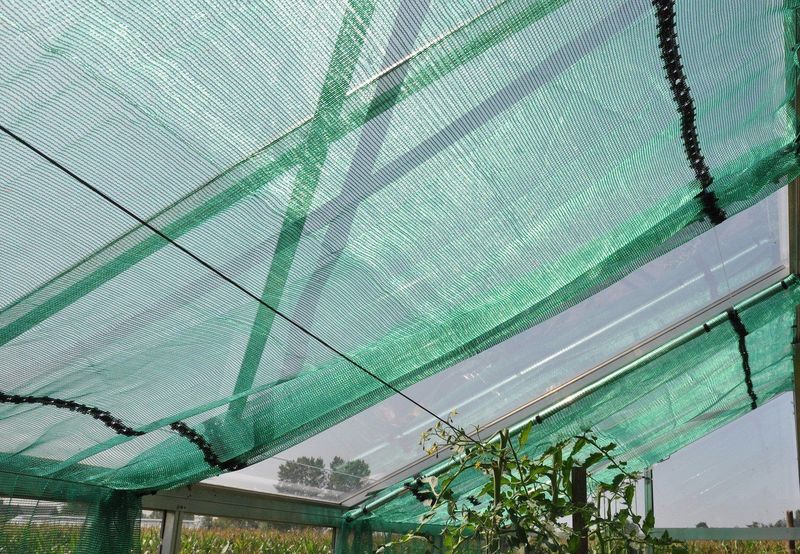Royal Well Schermgaas RW30-screen X 300 cm, 100 cm breed, groen gaas