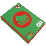 Kopieerpapier Quantore Colour A4 160gr grasgroen 250 vel | 5 stuks