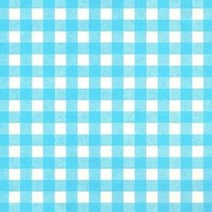 Cadeaupapier - Geschenkpapier - Blue squares on white ribbed 30 cm
