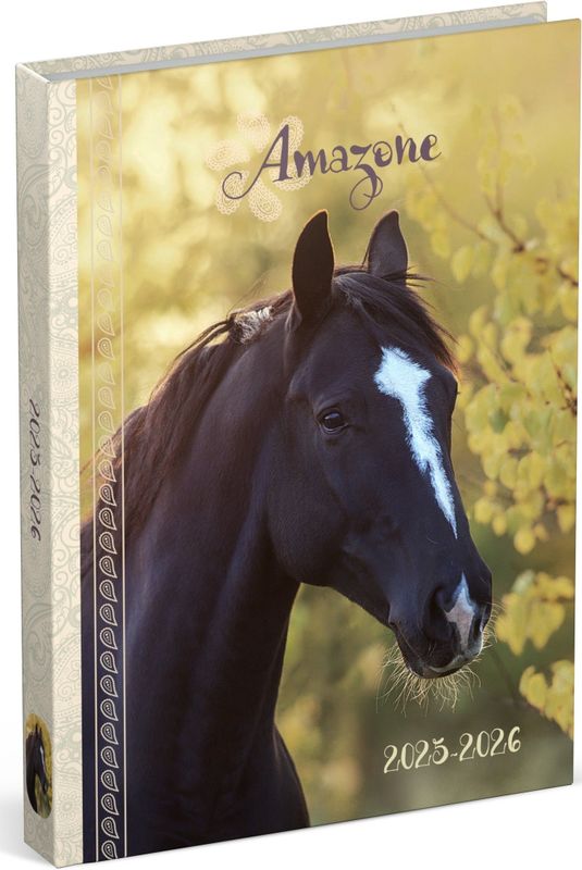 Schoolagenda 25-26 Lannoo Horses 1dag/1pagina geel
