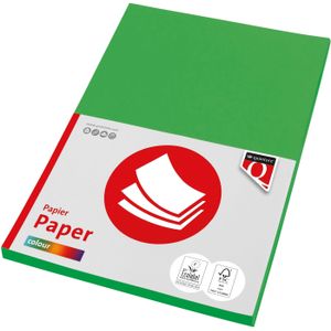 Kopieerpapier Quantore Colour A4 160gr grasgroen 50 vel | 10 stuks