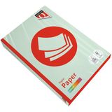 Kopieerpapier Quantore Colour A4 120gr lichtgroen 250 vel | 5 stuks